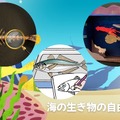 海の生き物の自由研究