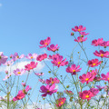 ※画像はイメージです