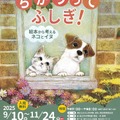 2025秋の企画展「ちがうってふしぎ！ ～絵本から考えるネコとイヌ～」