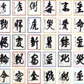 1995年から2024年までの過去30回分の「今年の漢字」の大書（揮毫：清水寺 森清範貫主）