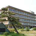 新潟大学