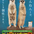 サンシャイン水族館「ざんねんないきもの展3」