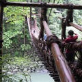 天然素材の手作り吊り橋「かずら橋」