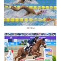 都内で開催される水泳と馬術 (c) OCA