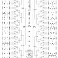第108回全国高校野球選手権 西東京大会組み合わせ