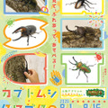 カブトムシ・クワガタのふれあい世界展 2026