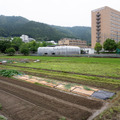 京都先端科学大学 京都亀岡キャンパスのようす