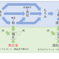甘酒は大きく分けて2種類（「第11回日本微生物学連盟フォーラム」八海醸造 倉橋敦さんの発表資料より）
