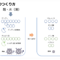 麹甘酒のつくり方（「第11回日本微生物学連盟フォーラム」八海醸造 倉橋敦さんの発表資料より）
