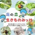 生きもの観察（海の森公園）
