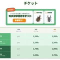 チケット