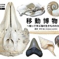 特別体験展示 移動博物館～さわって学ぶ海の生きもののカタチ