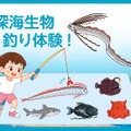 深海生物釣り体験！