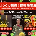 「じっくり観察！食虫植物展」