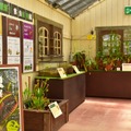 第5温室内、展示のようす