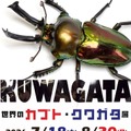 世界のカブト・クワガタ展