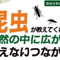 公開講演会「昆虫が教えてくれる 自然の中に広がる見えないつながり」