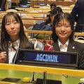 模擬国連のようす