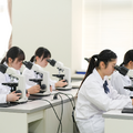 自然科学分野の探究学習を行う