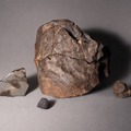 追加展示隕石標本（豊橋市自然史博物館蔵）