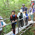森の奥へと進んでいく