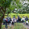 過去のイベントのようす