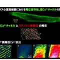 未来の医学「夢」スクール