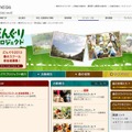 どんぐりプロジェクト（webサイト）