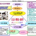 小石川中等教育学校