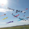 スポーツカイト全国大会「Tokyo Bay Flight party 2013」（イメージ）