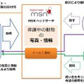 日本マイクロソフト MSNペットサーチ