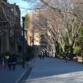 東京大学