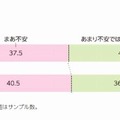 ICT活用に対する不安