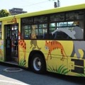 ZOOバス。この車体は、通常は路線バスとして運行している