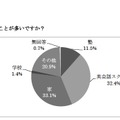 どこで英語を習うことが多いですか？