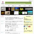 九州大学理学部生物学科のホームページ