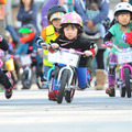 子供がはしゃげるスポーツ・アウトドアイベント「アクティブキッズフェスタ」東京・有明で開催