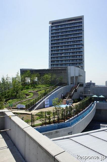 首都高速道路、大橋ジャンクションの換気所屋上に現れた水田で小学生が田植えを体験