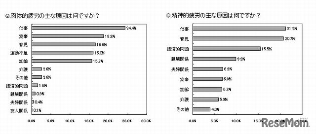 肉体的疲労・精神的疲労の主な原因