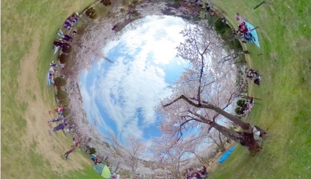 全天球映像のイメージ（4月7日撮影の「摂津峡公園」の桜）