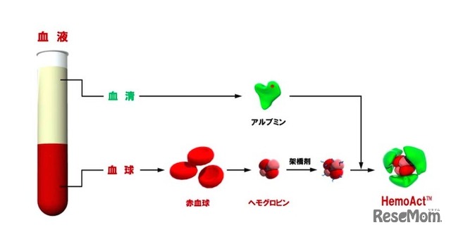 ヘモアクトの構造