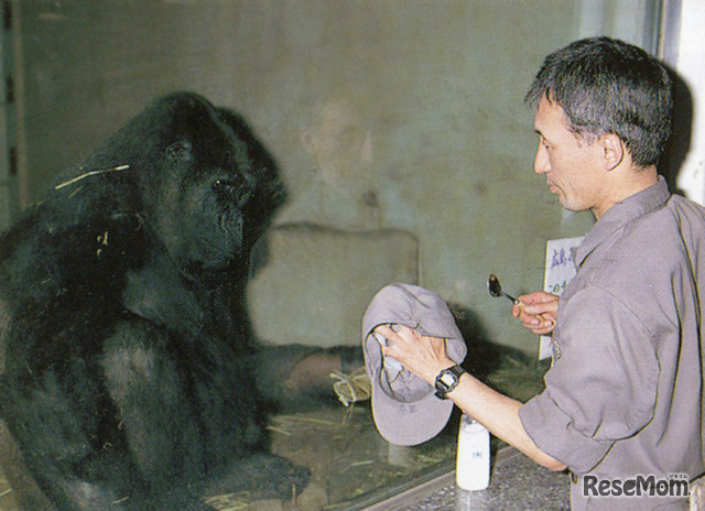 写真：（公財）東京動物園協会