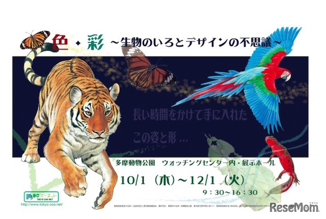 色・彩─生物のいろとデザインの不思議　(c) 公共財団法人東京動物園協会