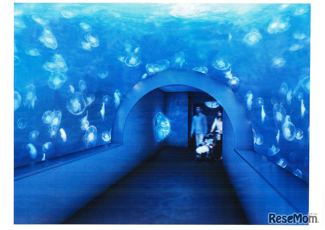 池袋に天空のオアシス サンシャイン水族館8 4オープン 2枚目の写真 画像 リセマム