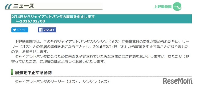 リーリーとシンシン　展示中止のお知らせ