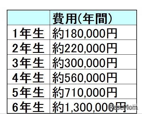 費用一覧（年間）