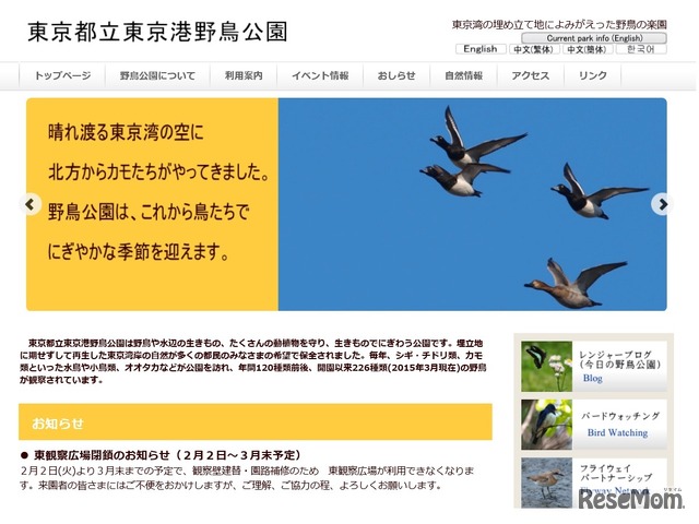東京湾野鳥公園