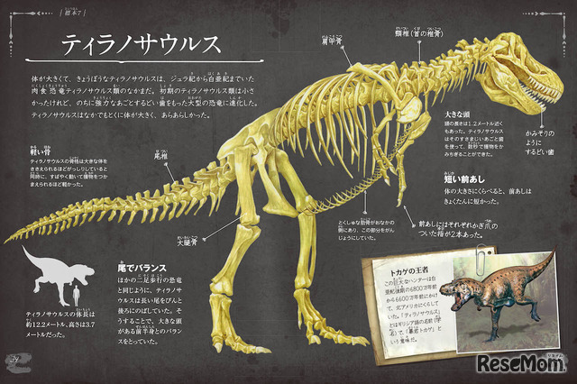 オールカラーで蘇る 骨の博物館iii 恐竜の骨 5 12発売 2枚目の写真 画像 リセマム