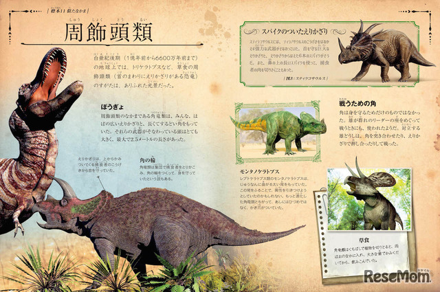「恐竜の骨」中面イメージ