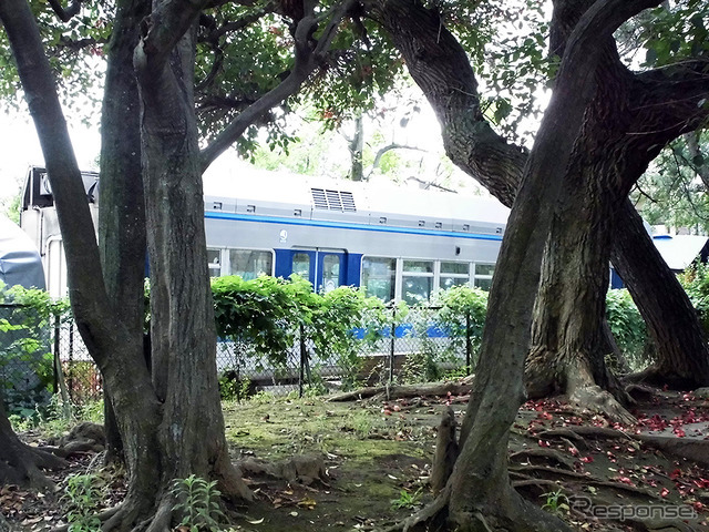 千葉市美浜区の真砂第2公園から見える「チューリップ保育園」の千葉モノレール1000形